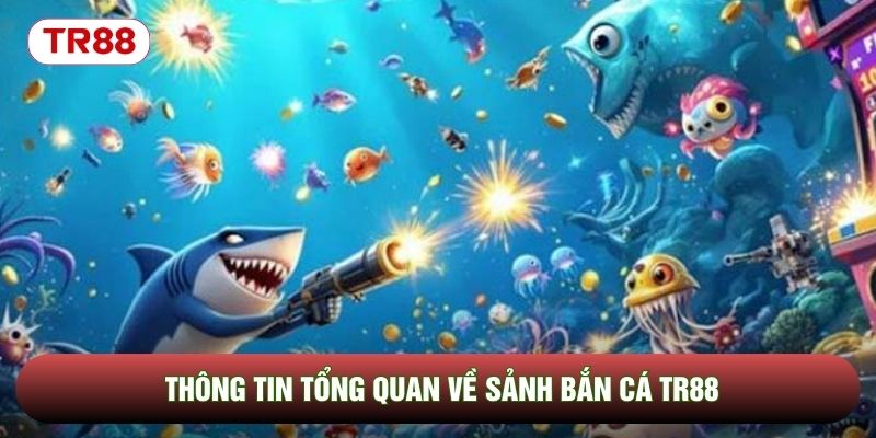 Thông tin tổng quan về sảnh bắn cá TR88 Thông tin tổng quan về sảnh bắn cá TR88