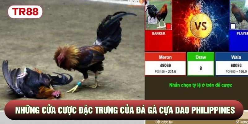 Những cửa cược đặc trưng của đá gà cựa dao Philippines