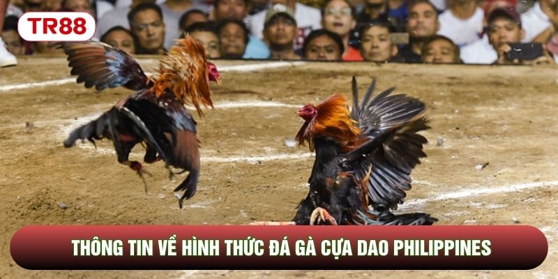 Thông tin về hình thức đá gà cựa dao Philippines