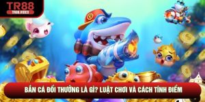 Bắn Cá Đổi Thưởng Là Gì? Luật Chơi Và Cách Tính Điểm