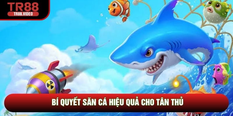 Bí quyết săn cá hiệu quả cho tân thủ