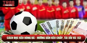 Cách Đọc Kèo Bóng Đá - Hướng Dẫn Kèo Chấp, Tài Xỉu Và 1X2