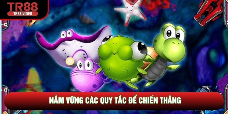Nắm vững các quy tắc để chiến thắng