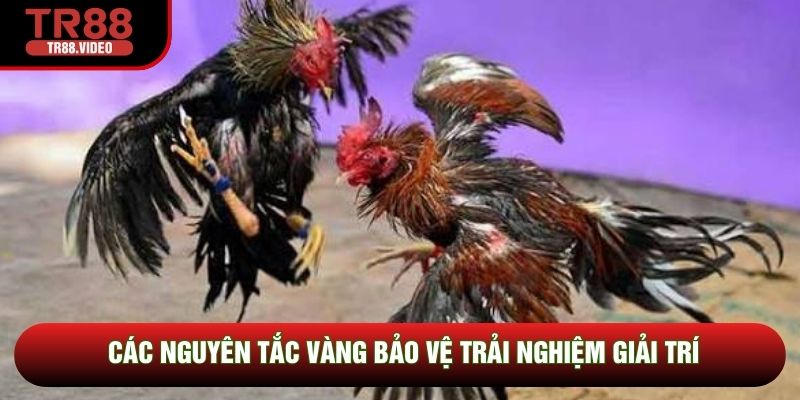 Các nguyên tắc vàng bảo vệ trải nghiệm giải trí