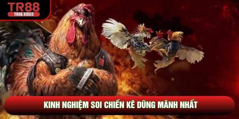Kinh nghiệm soi chiến kê dũng mãnh nhất
