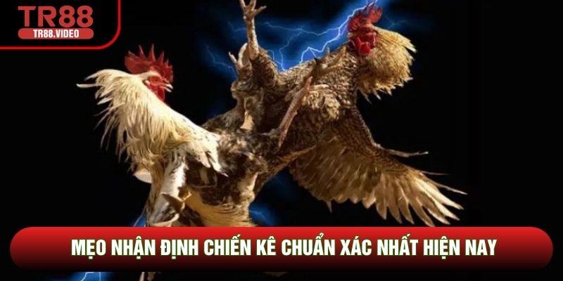 Mẹo nhận định chiến kê chuẩn xác nhất hiện nay